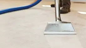 Carpet cleaning wand head gliding over a light carpet during hot-water extraction, Allentown, PA.