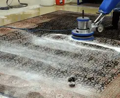 Professional rug cleaning with a rotary floor machine and shampoo foam, deep-cleaning an area rug, in Allentown, PA.