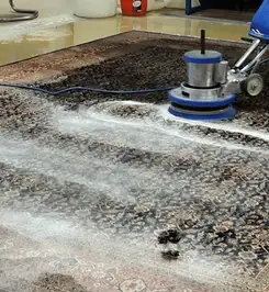 Professional rug cleaning with a rotary floor machine and shampoo foam, deep-cleaning an area rug Allentown, PA.
